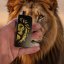 Lion Pod Mod – La Tabaccheria - Farebná varianta: Black Silver